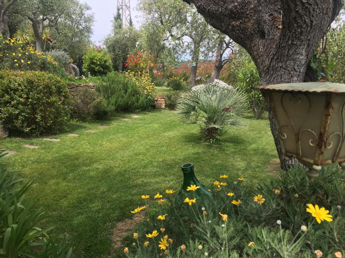 Willa Casa Di Jo Imperia Zewnętrze zdjęcie